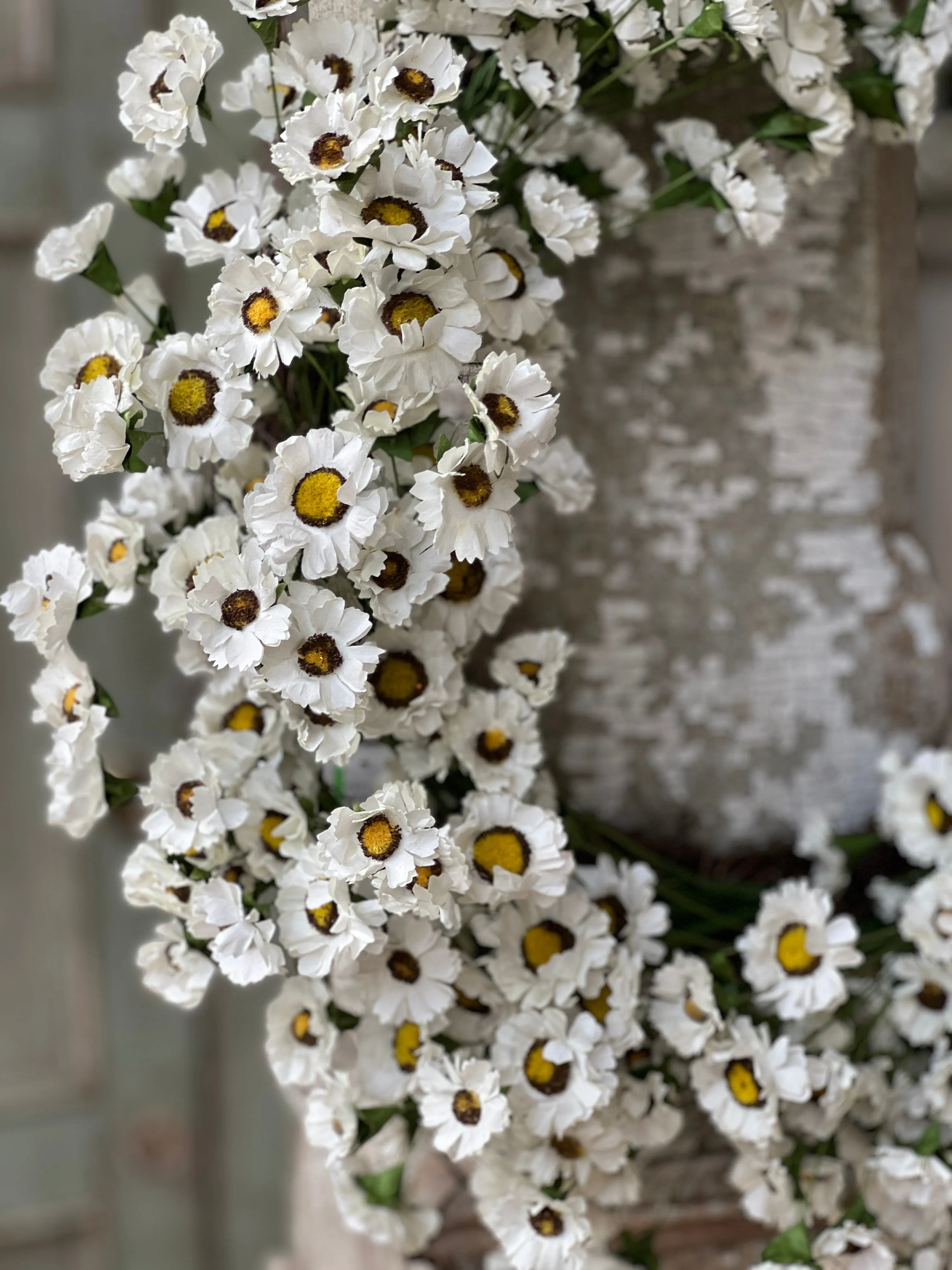 Fairchild Daisy Wreath | 22" | NOT CURRENTLY IN STOCK-New For Spring 2025!