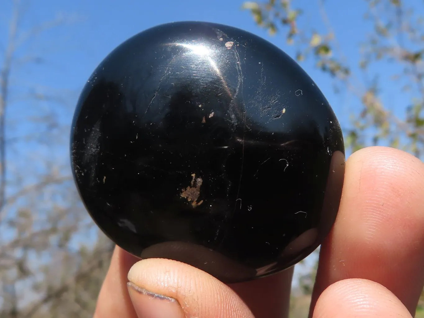 Polished Black Tourmaline Galet / Palm Stones x 24 From Madagascar