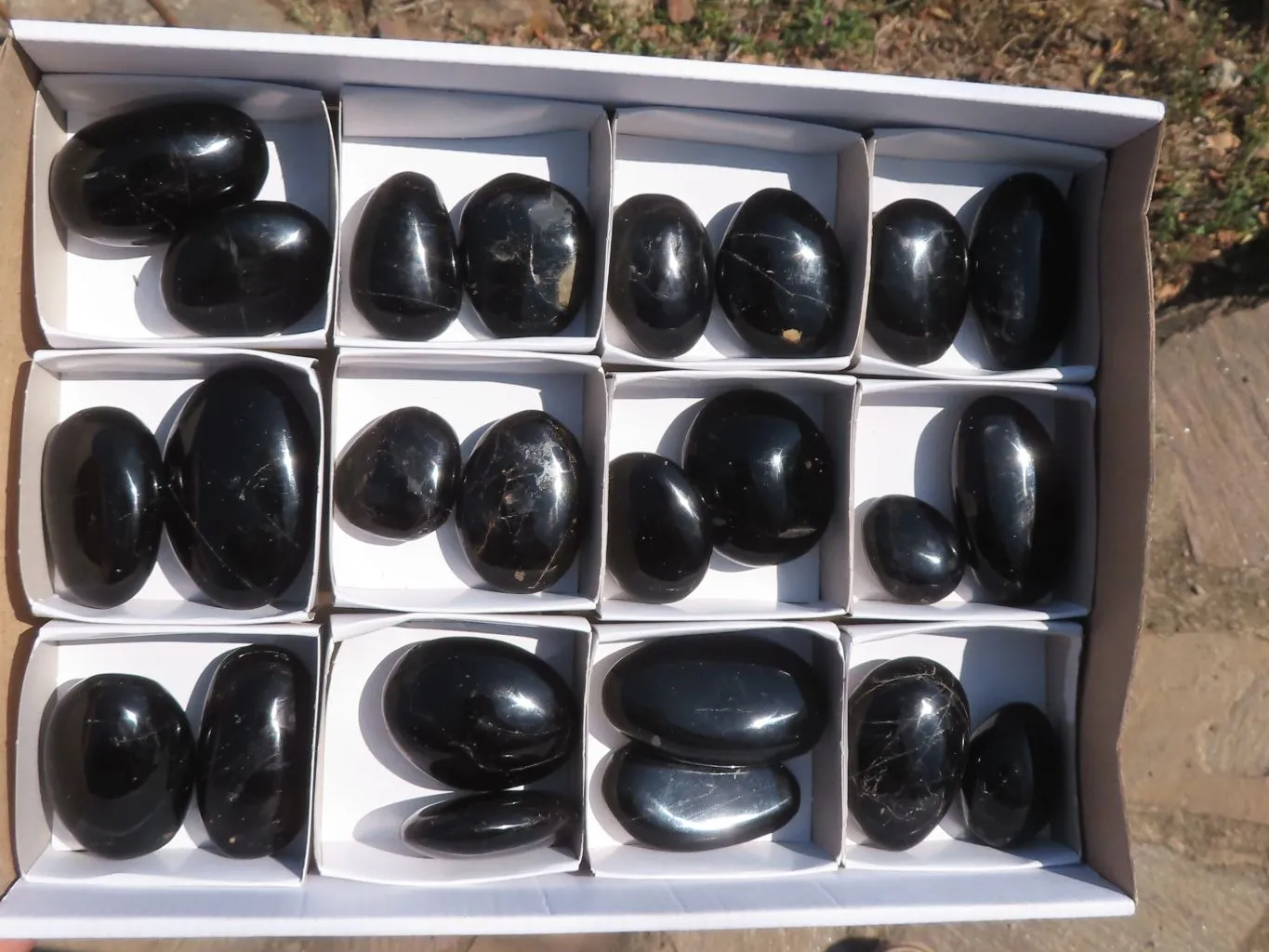 Polished Black Tourmaline Galet / Palm Stones x 24 From Madagascar