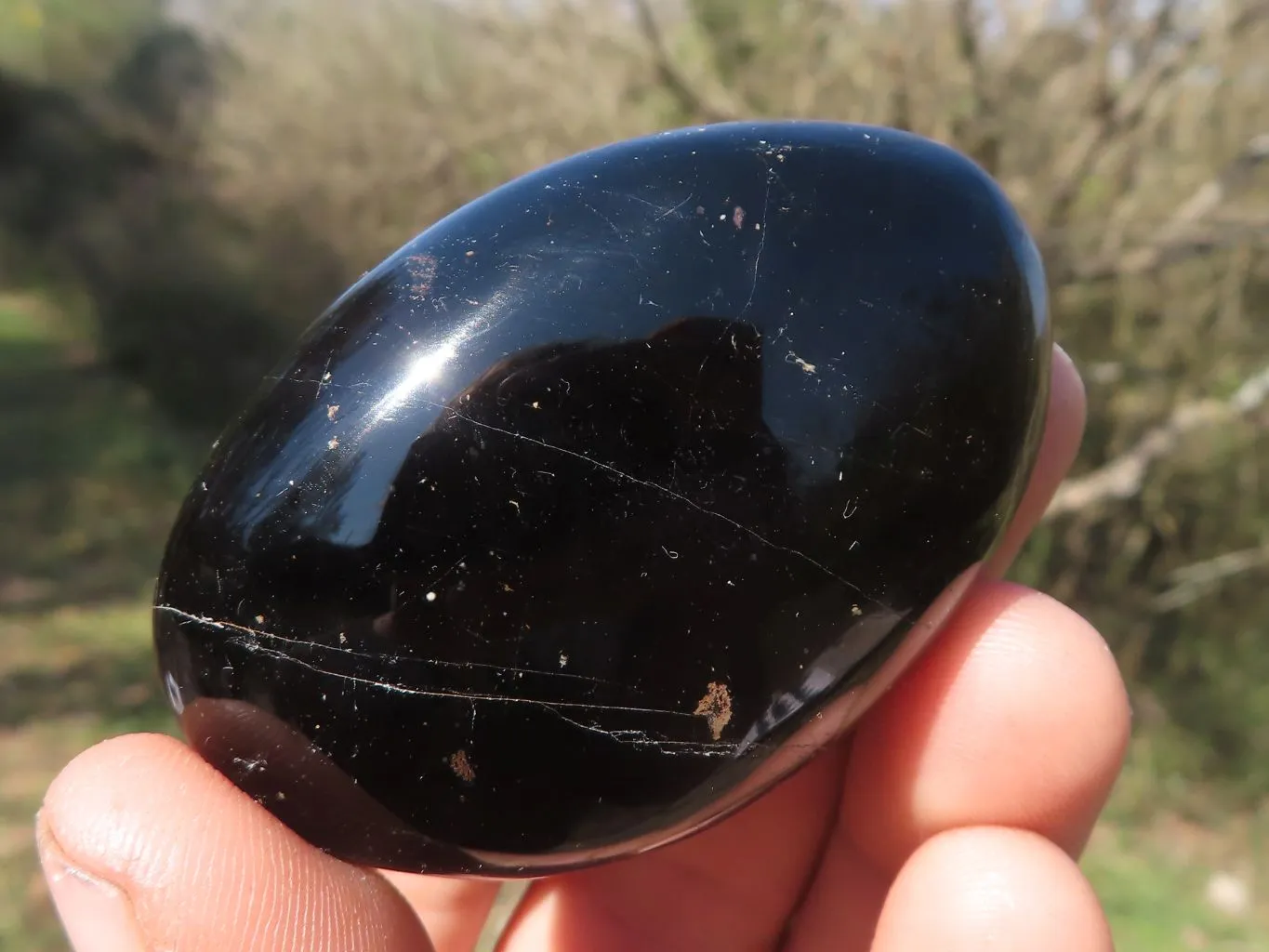 Polished Black Tourmaline Galet / Palm Stones x 24 From Madagascar