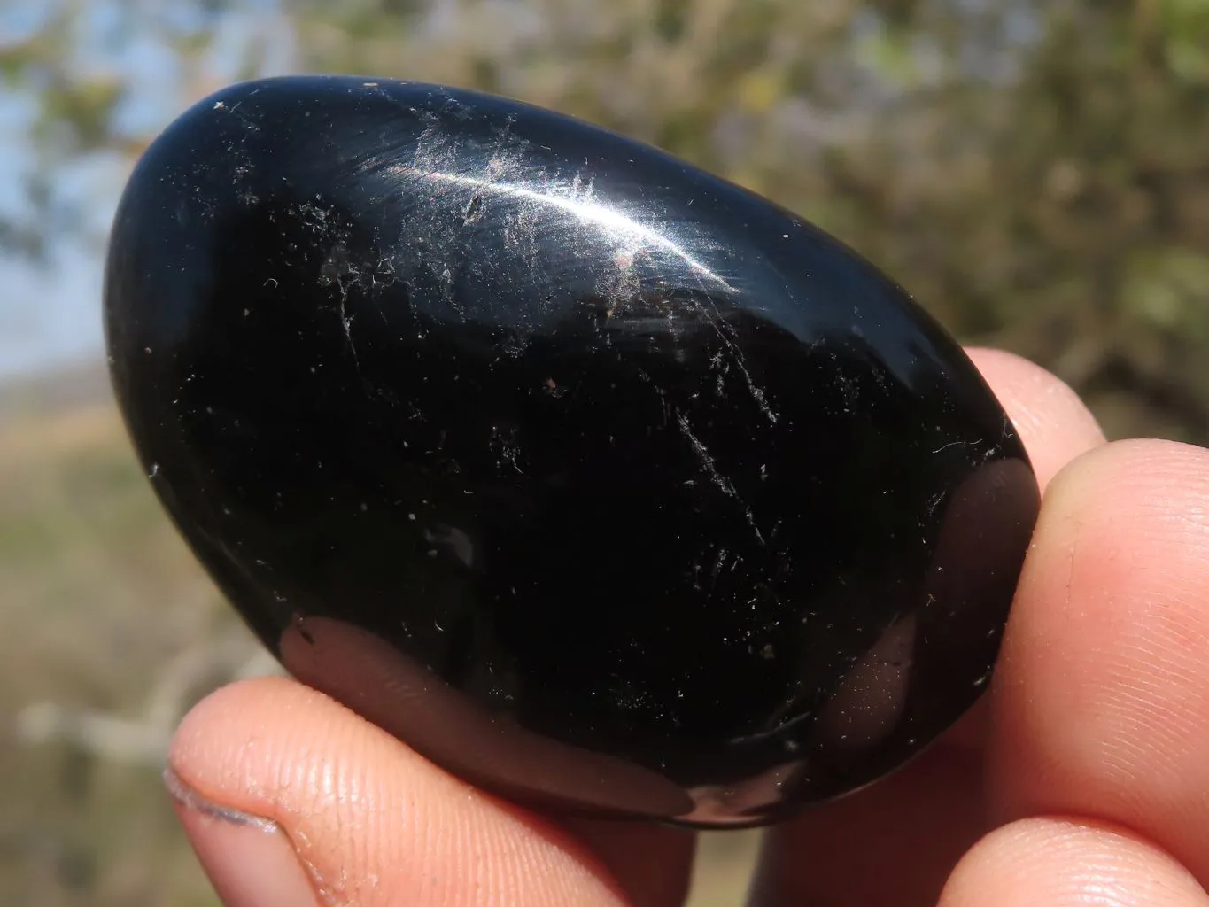 Polished Black Tourmaline Galet / Palm Stones x 24 From Madagascar