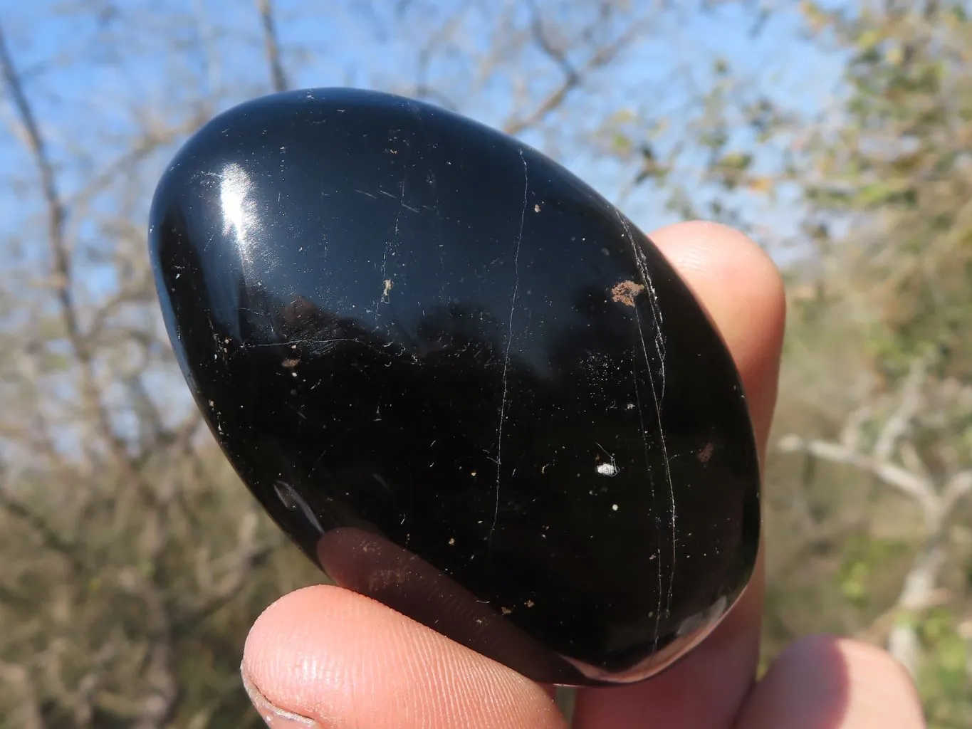 Polished Black Tourmaline Galet / Palm Stones x 24 From Madagascar