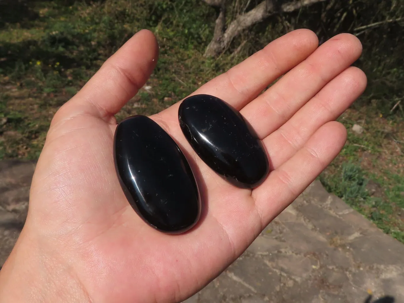 Polished Black Tourmaline Galet / Palm Stones x 24 From Madagascar