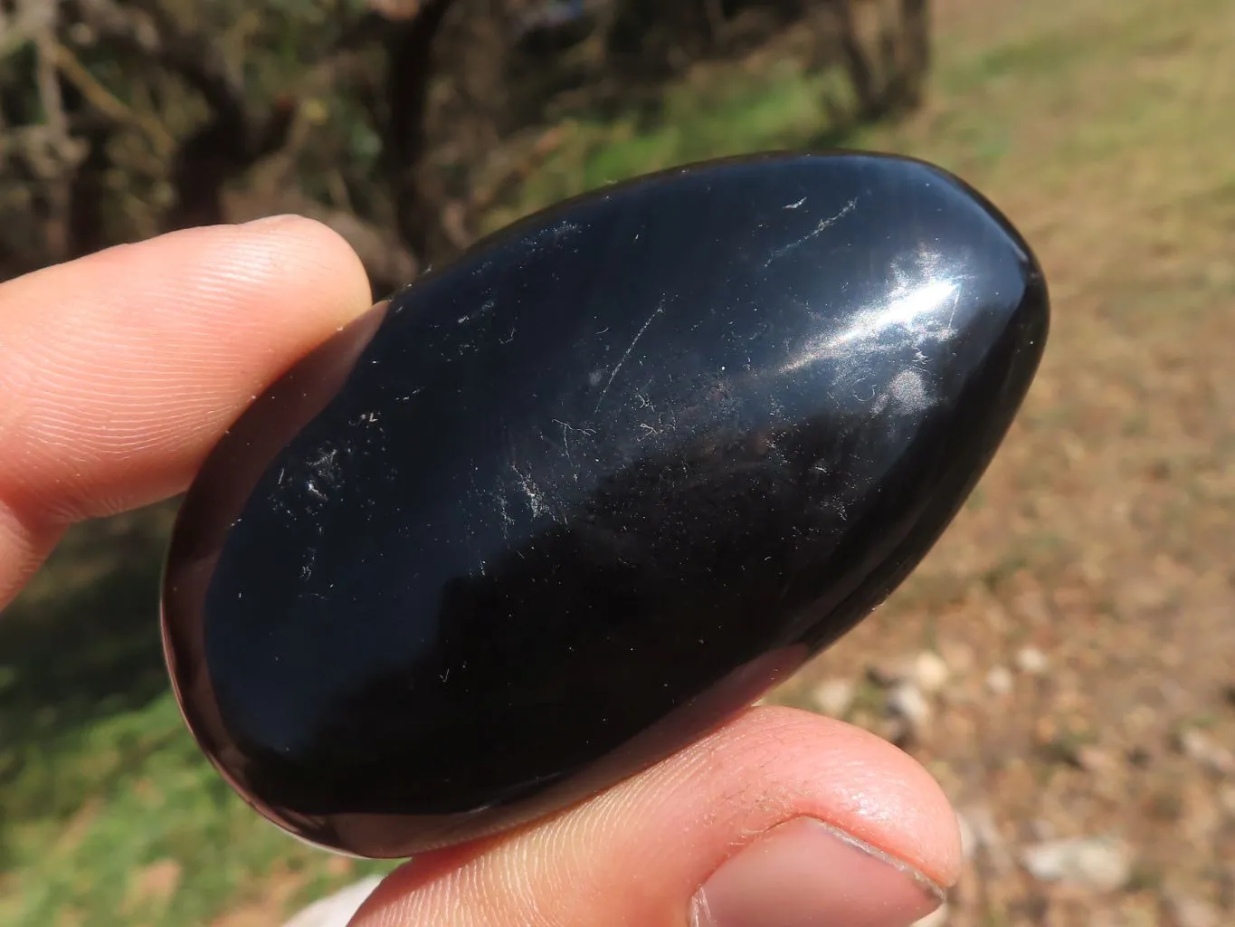 Polished Black Tourmaline Galet / Palm Stones x 24 From Madagascar