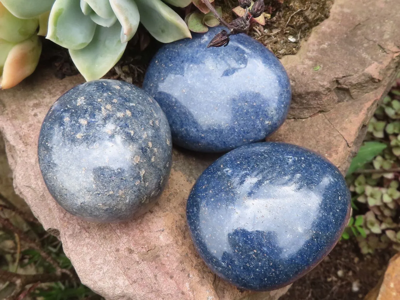 Polished Blue Lazulite Palm Stones  x 35 From Madagascar