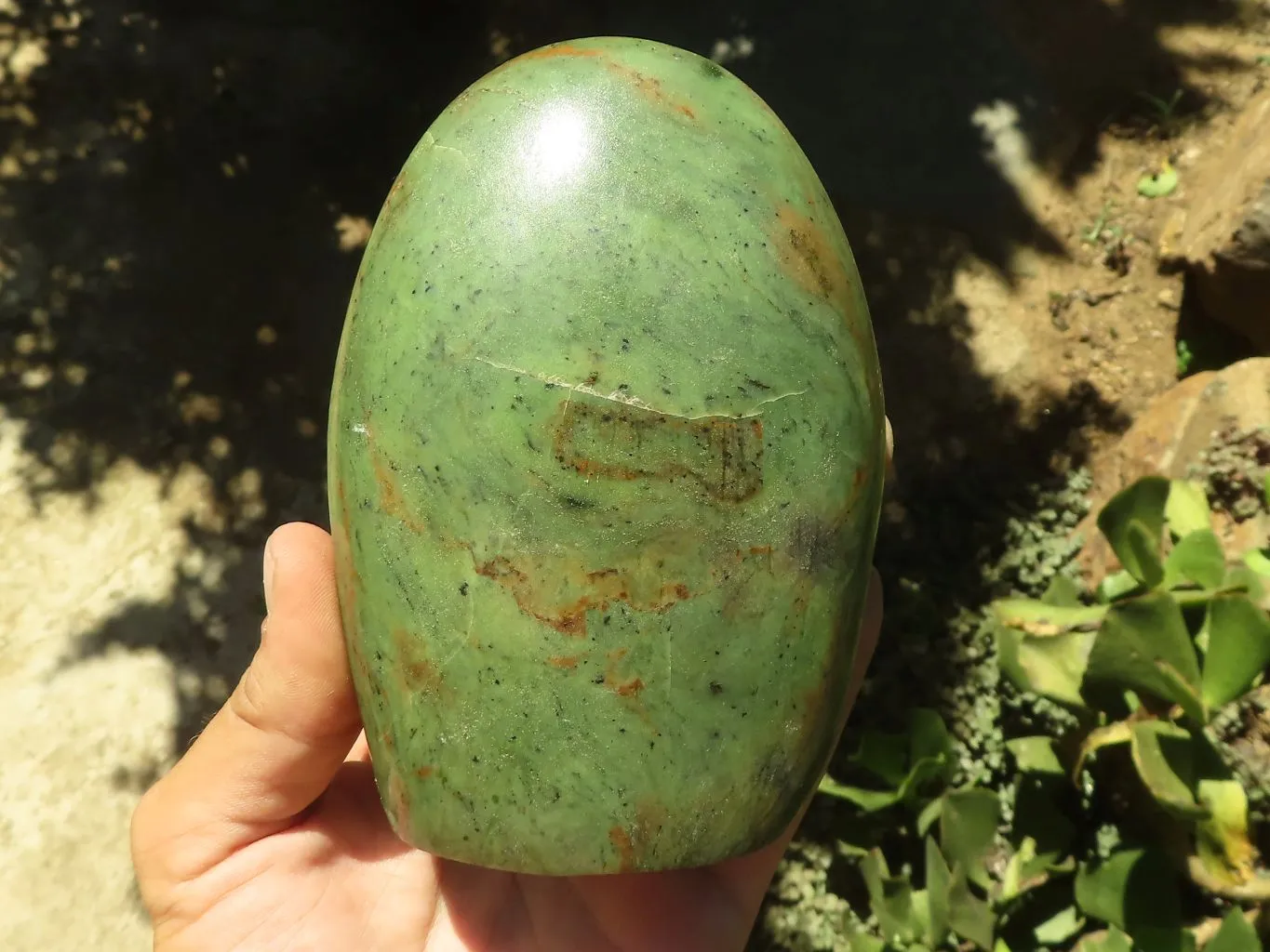 Polished Green Chrysoprase Standing Free Forms  x 2 From Madagascar