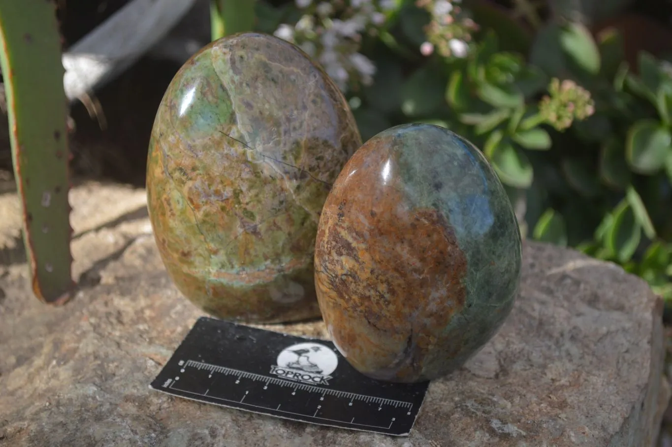 Polished Green Chrysoprase Standing Free Forms  x 3 From Ambatondrazaka, Madagascar