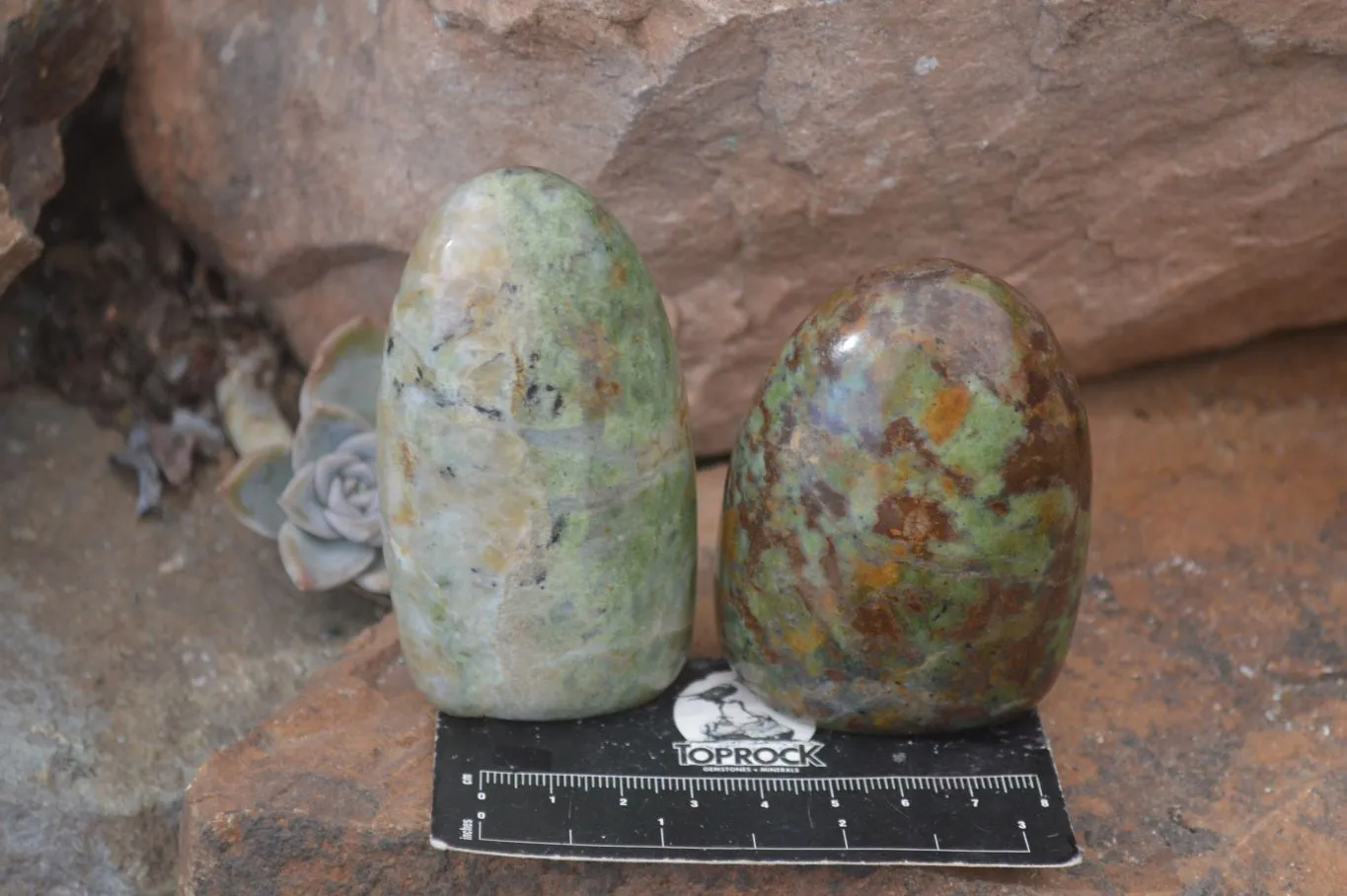 Polished Green Chrysoprase Standing Free Forms  x 6 From Madagascar