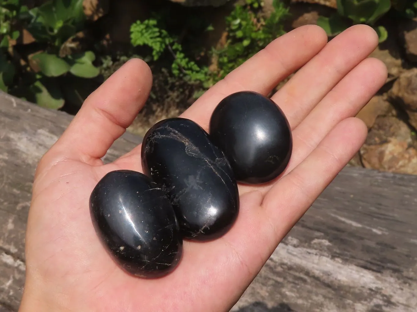 Polished Schorl Black Tourmaline Galet / Palm Stones x 35 From Madagascar