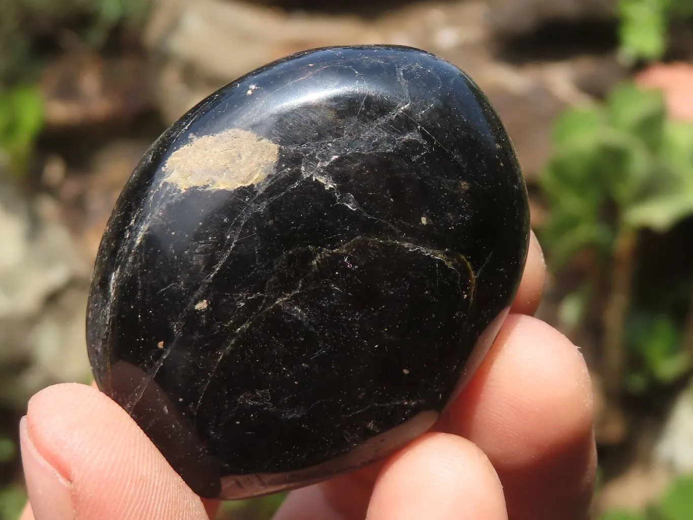 Polished Schorl Black Tourmaline Galet / Palm Stones x 35 From Madagascar