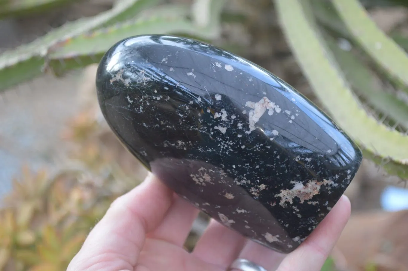 Polished Schorl Black Tourmaline Standing Free Forms x 2 From Madagascar