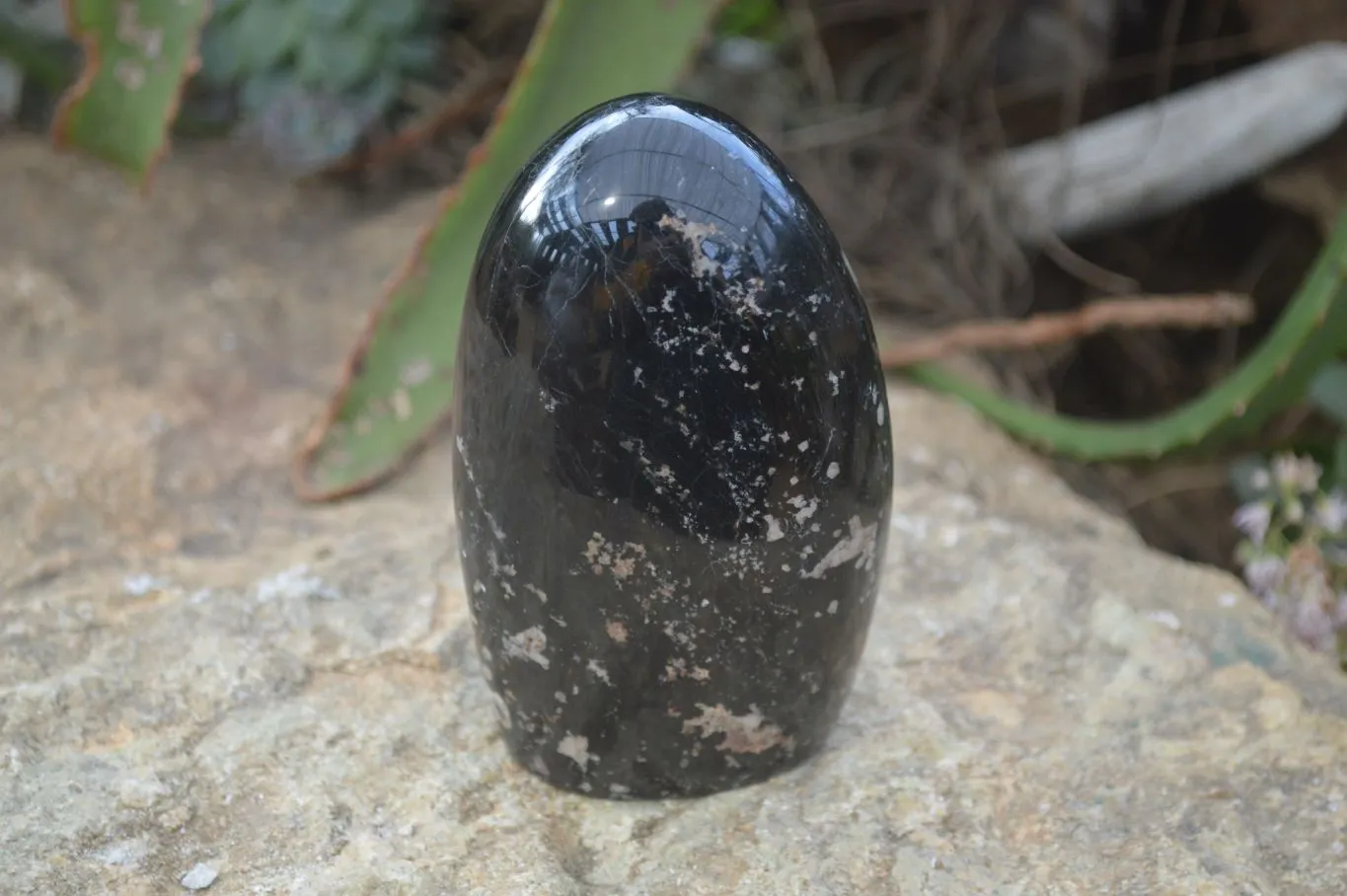 Polished Schorl Black Tourmaline Standing Free Forms x 2 From Madagascar