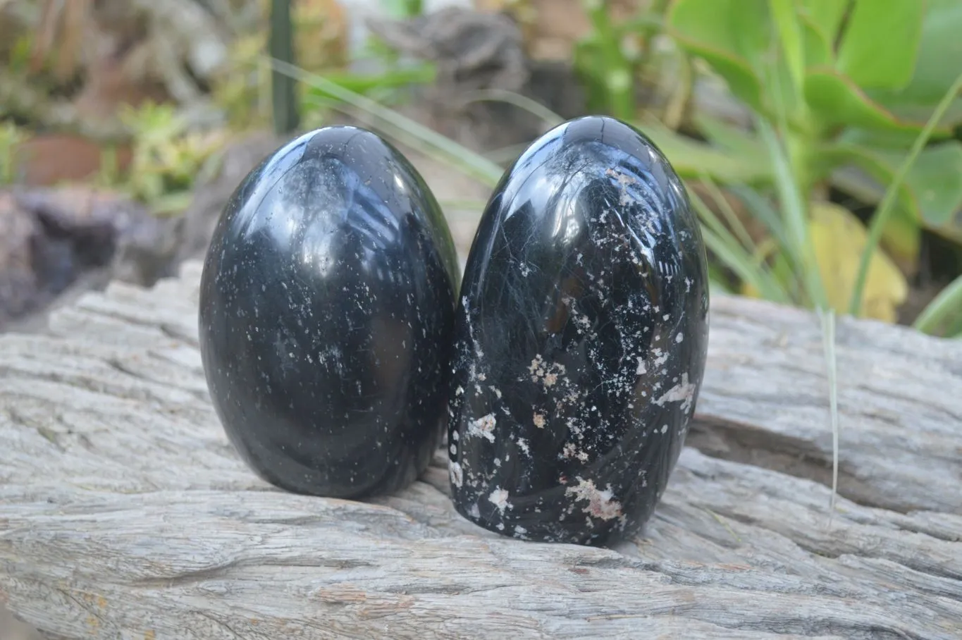 Polished Schorl Black Tourmaline Standing Free Forms x 2 From Madagascar