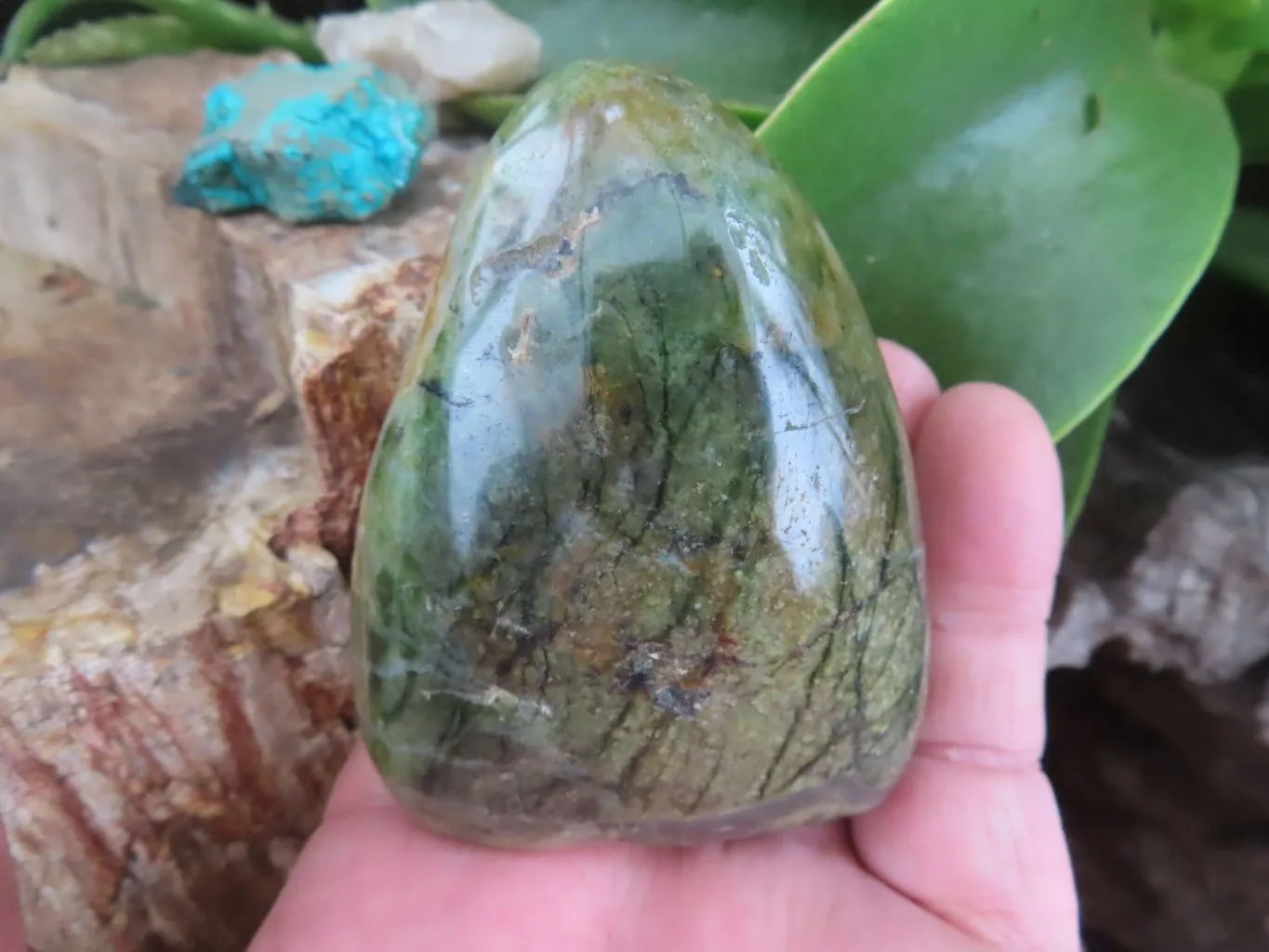 Polished Small Green Chrysoprase Standing Free Forms  x 5 From Madagascar