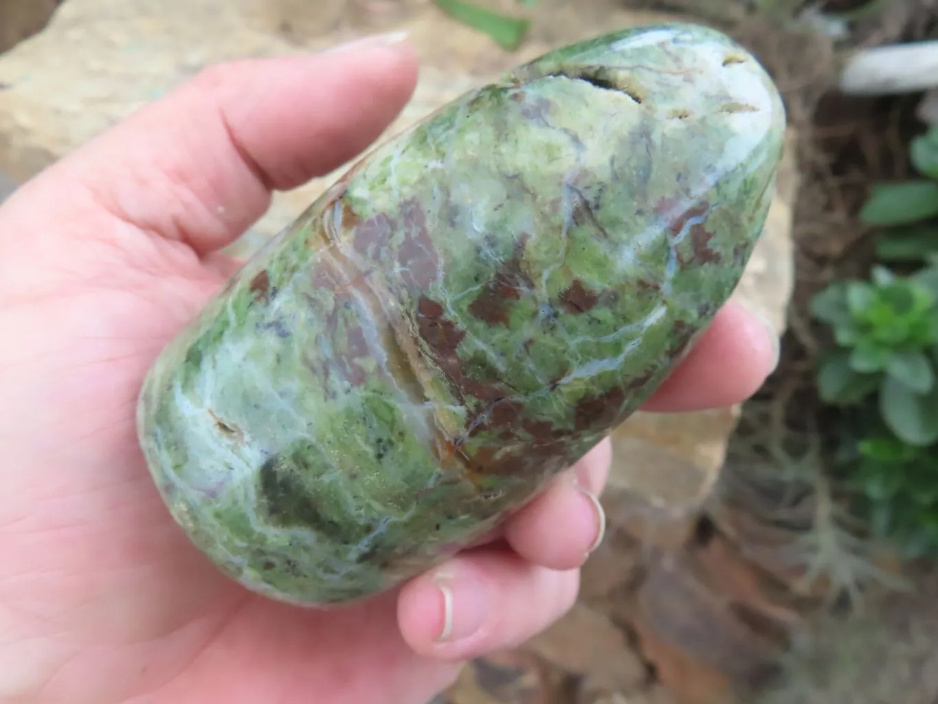 Polished Small Green Chrysoprase Standing Free Forms  x 5 From Madagascar