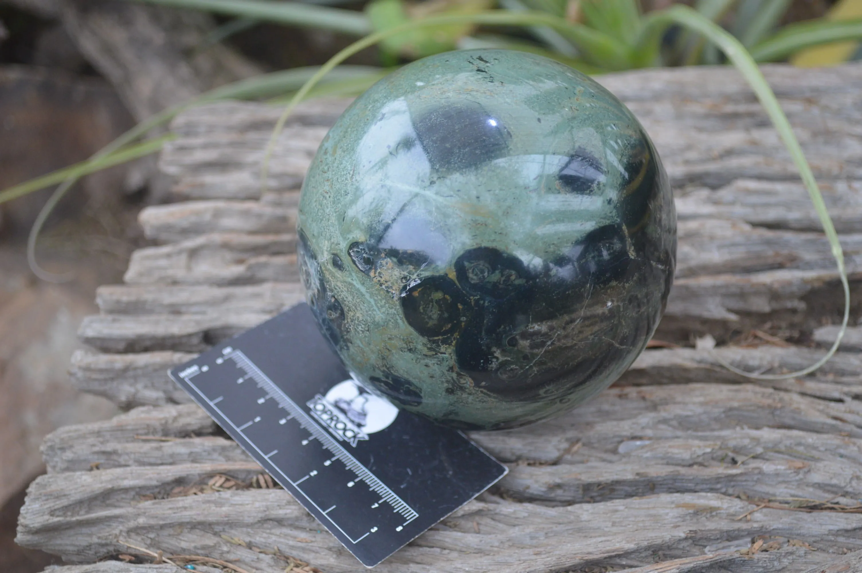 Polished Stromatolite Jasper Sphere x 1 From Madagascar