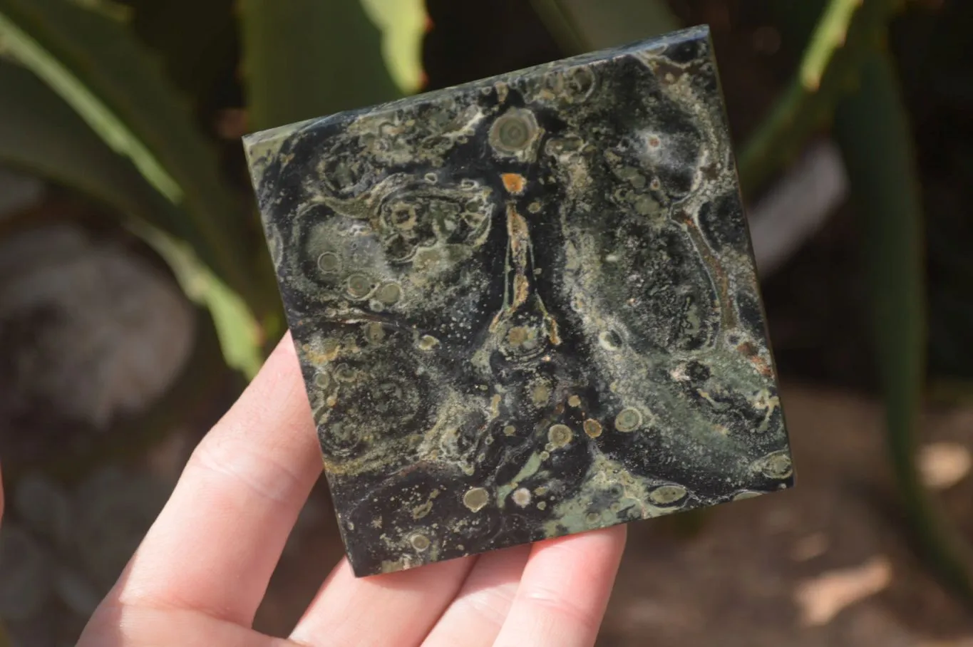 Polished Stromatolite Pyramids  x 4 From Katsepy, Madagascar