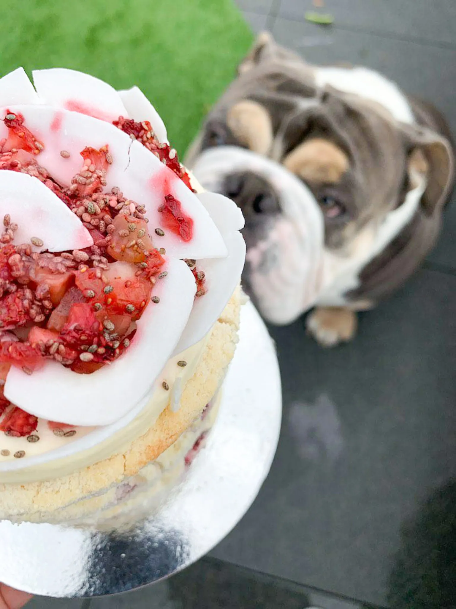 Strawberry and Cream Cake